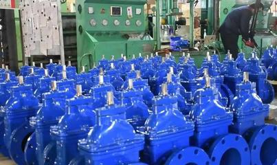 聚焦主戰(zhàn)略 錨定主定位 譜寫(xiě)桑落墅鎮(zhèn)黃河流域生態(tài)保護(hù)和高質(zhì)量發(fā)展新篇章