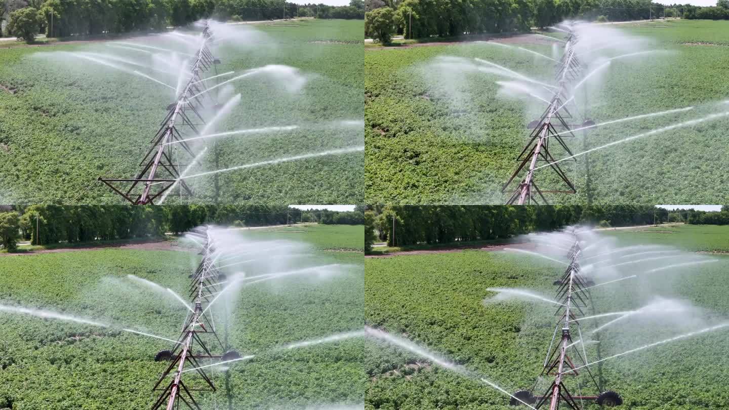 威斯康辛州中部的一片農田正在用灑水系統進行灌溉。