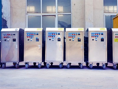 吉林敦化蒸汽清洗機 萬鼎機械